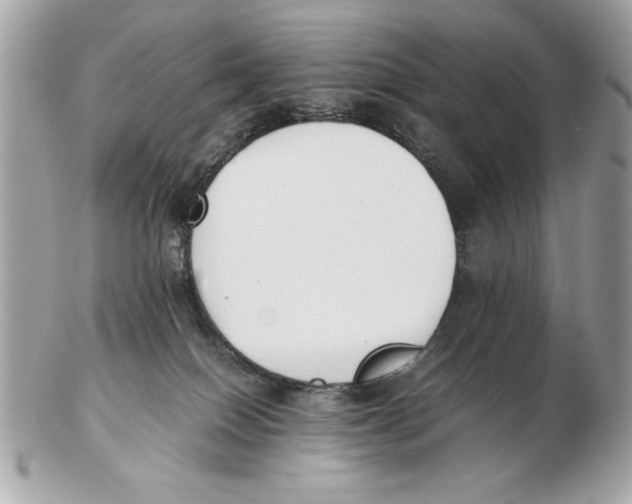 X0000102470086200808291614