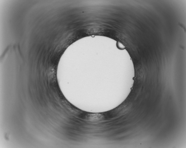 X0000102470087200808291614