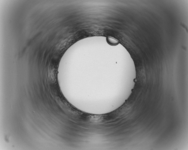 X0000102470088200808291614