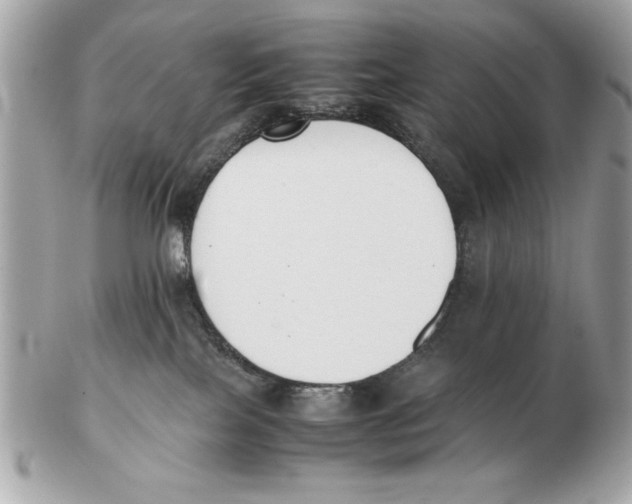 X0000102470089200808291614