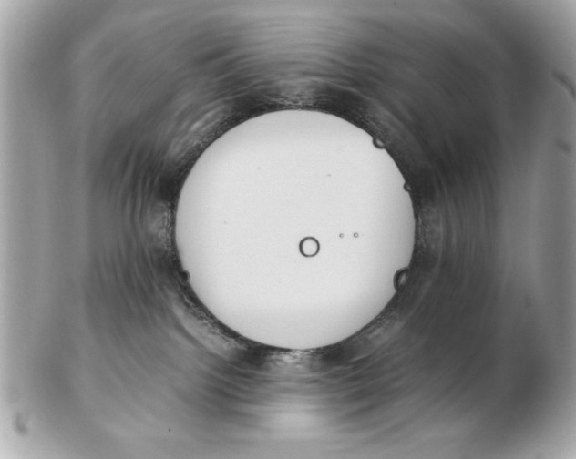 X0000102470092200808291614