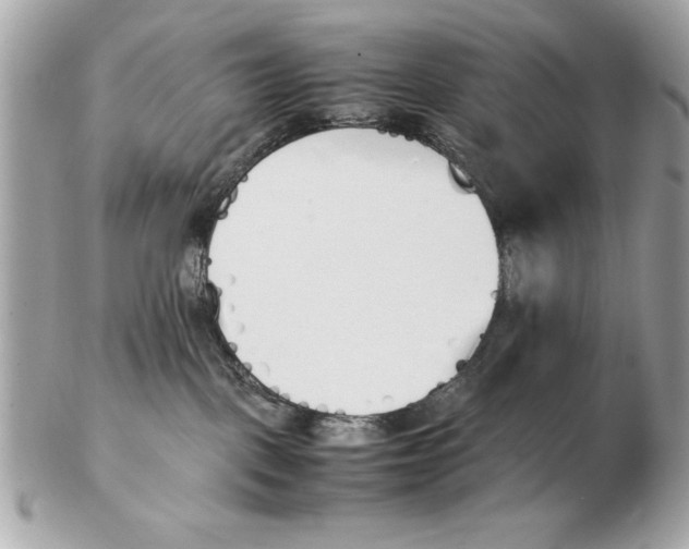 X0000102470093200808291614