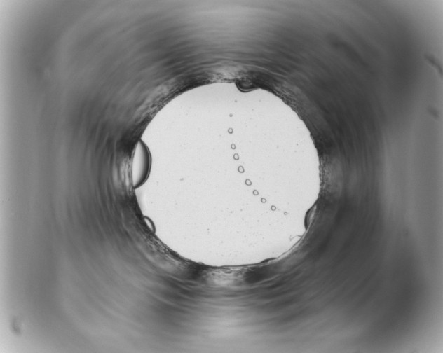 X0000102470094200808291614