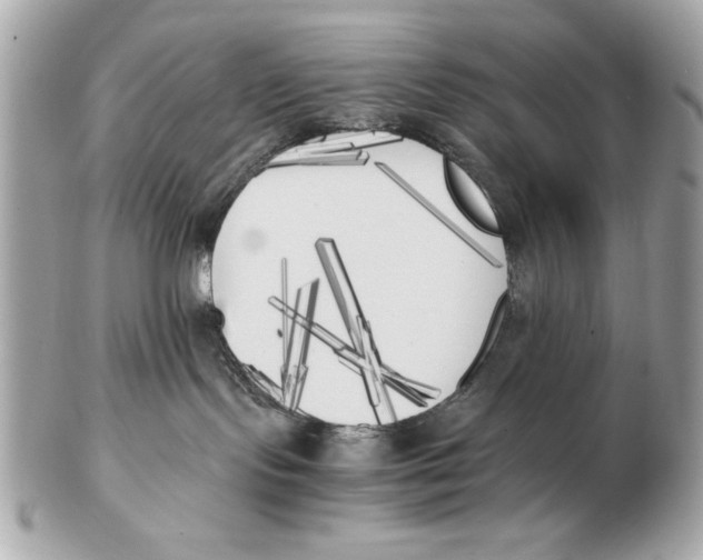 X0000102470095200808291614