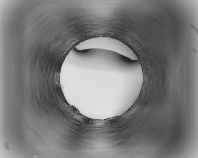 X0000102470096200808291614