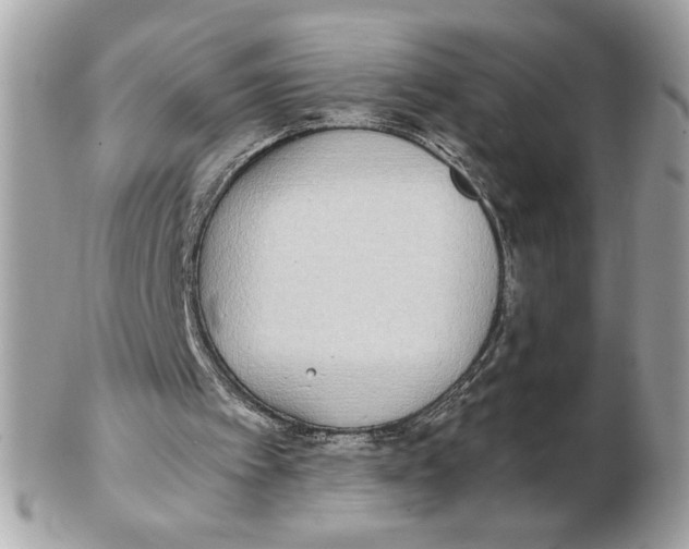 X0000102470097200808291614
