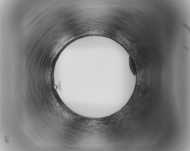 X0000102470098200808291614