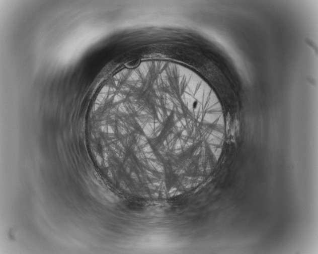 X0000102470099200808291614