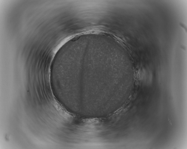 X0000102470100200808291614