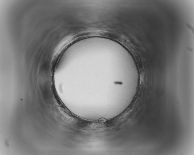 X0000102470101200808291614