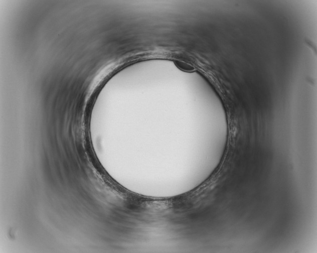 X0000102470102200808291614