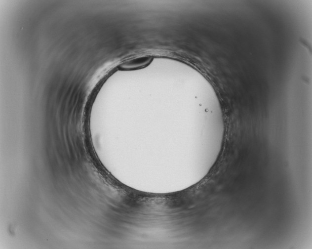 X0000102470104200808291614