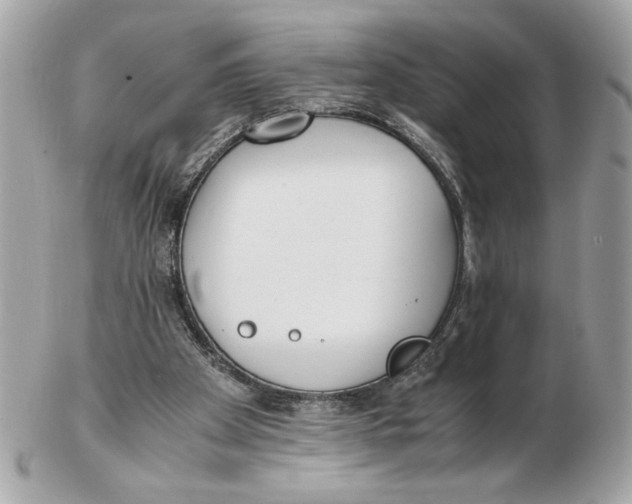 X0000102470105200808291614