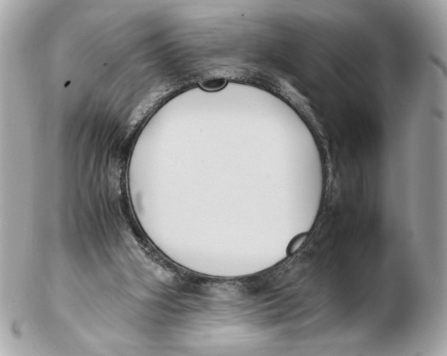 X0000102470106200808291614
