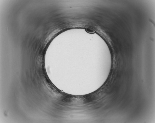 X0000102470107200808291614