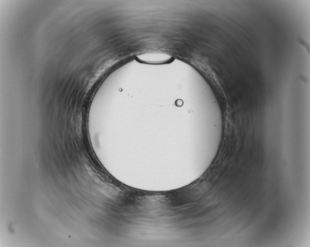 X0000102470108200808291614