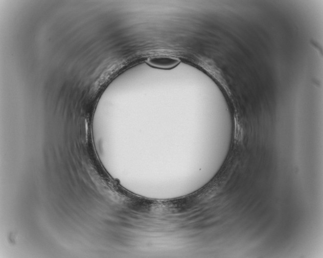 X0000102470109200808291614