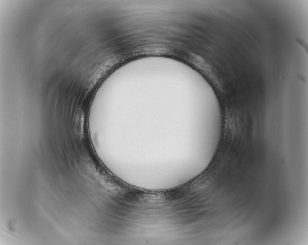 X0000102470110200808291614