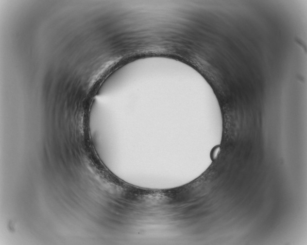 X0000102470112200808291614