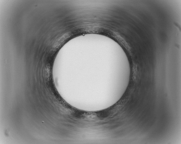 X0000102470113200808291614