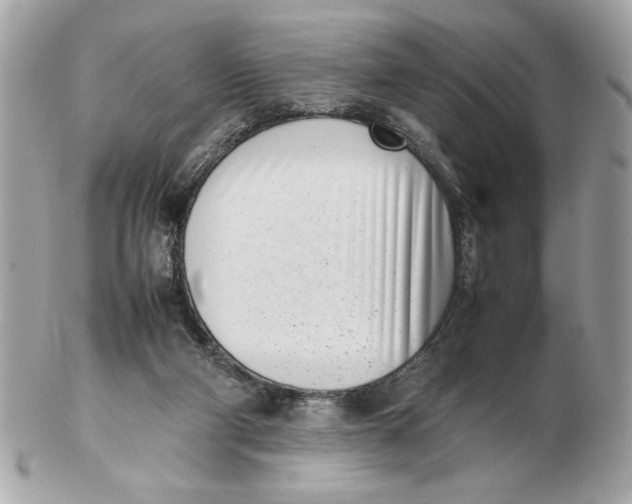 X0000102470114200808291613