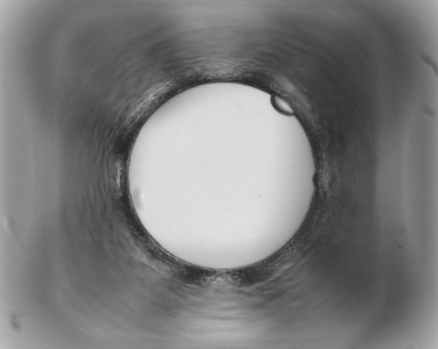 X0000102470115200808291613