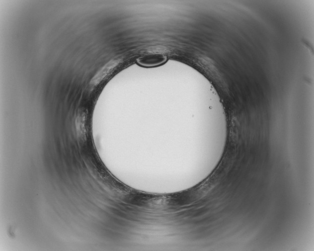 X0000102470116200808291613