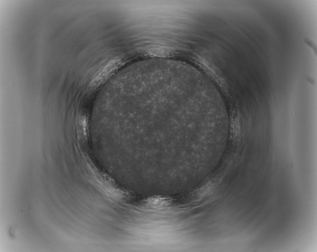 X0000102470117200808291613