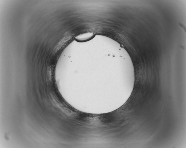 X0000102470120200808291613