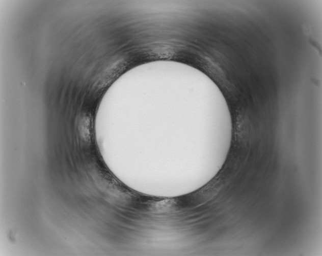 X0000102470122200808291613