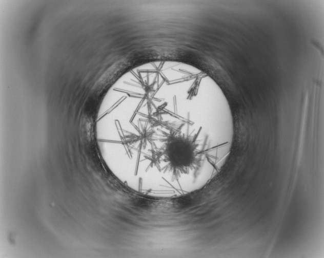 X0000102470123200808291613