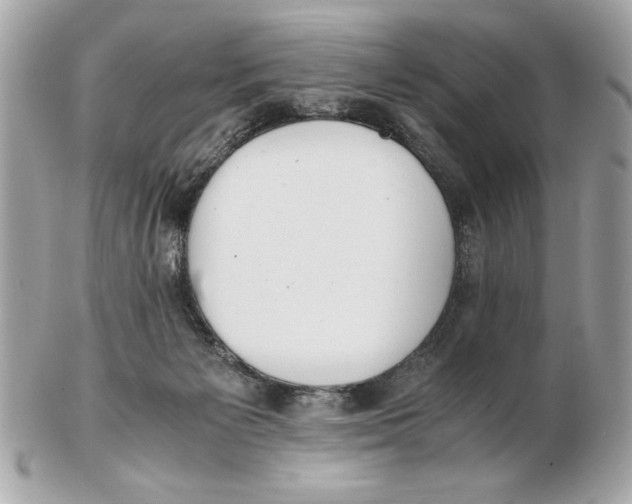 X0000102470125200808291613