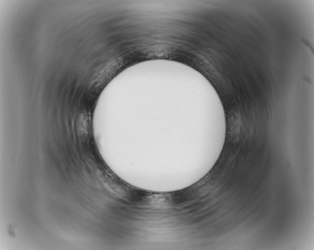 X0000102470126200808291613