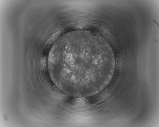 X0000102470127200808291613