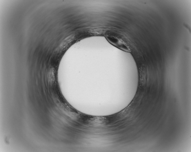 X0000102470128200808291613