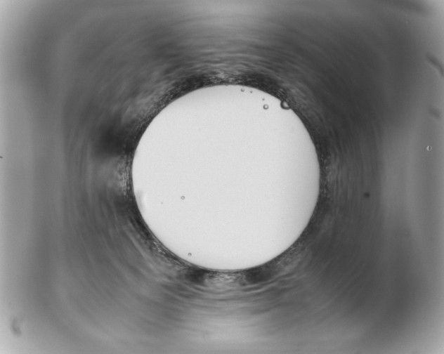 X0000102470129200808291613
