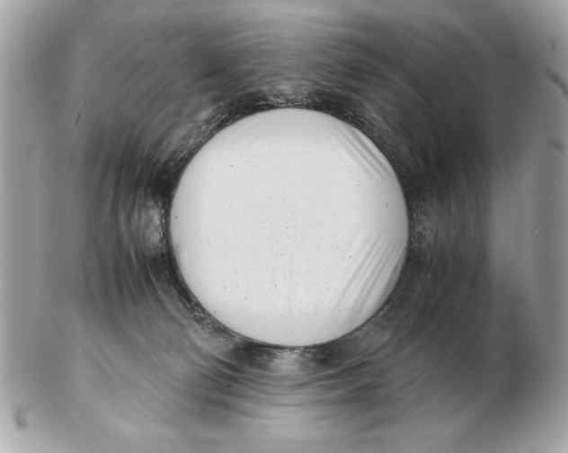 X0000102470130200808291613