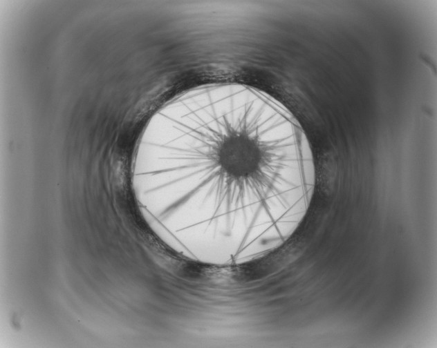 X0000102470131200808291613