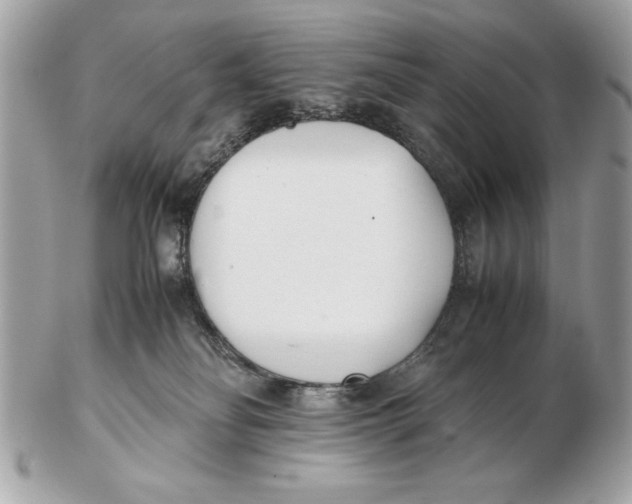 X0000102470134200808291613