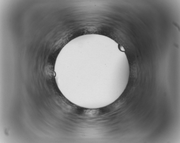 X0000102470135200808291613