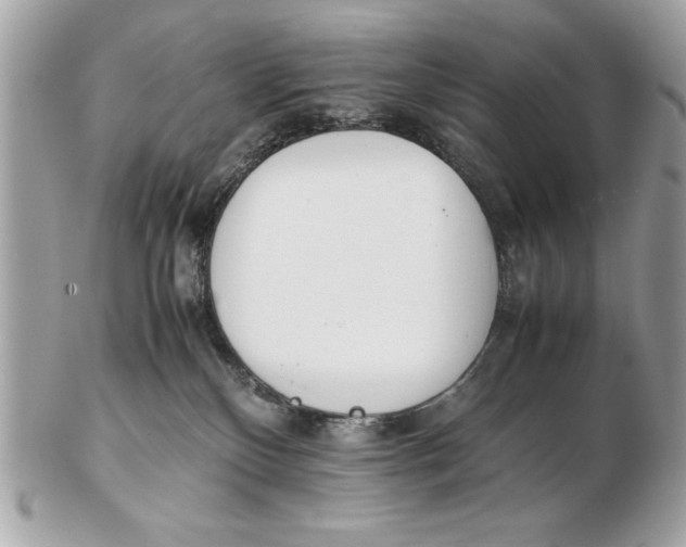 X0000102470136200808291613
