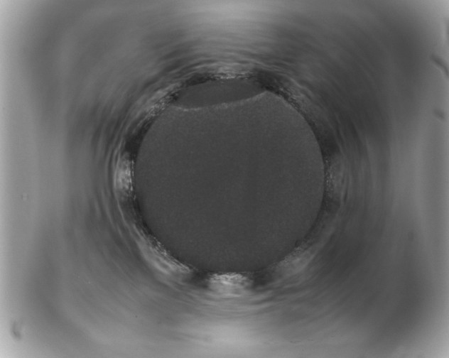 X0000102470137200808291613