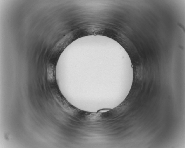 X0000102470138200808291613