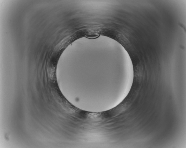 X0000102470139200808291613