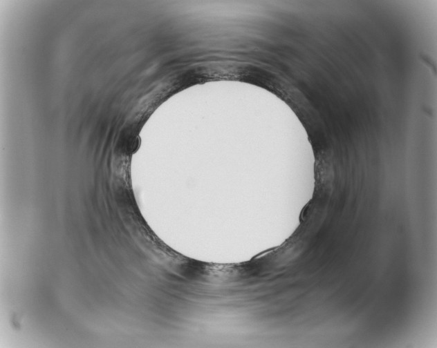 X0000102470141200808291613