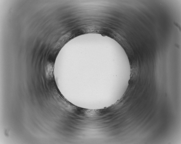 X0000102470142200808291613