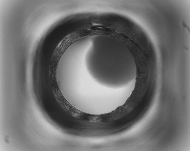 X0000102470143200808291613