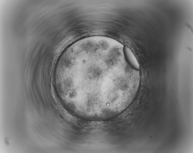 X0000102470145200808291612
