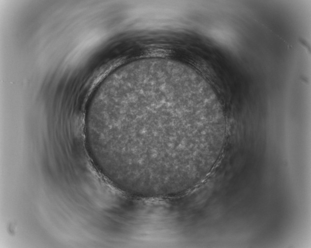 X0000102470146200808291612