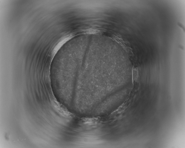 X0000102470147200808291612